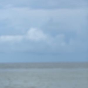 Meet your Posher, Mariela